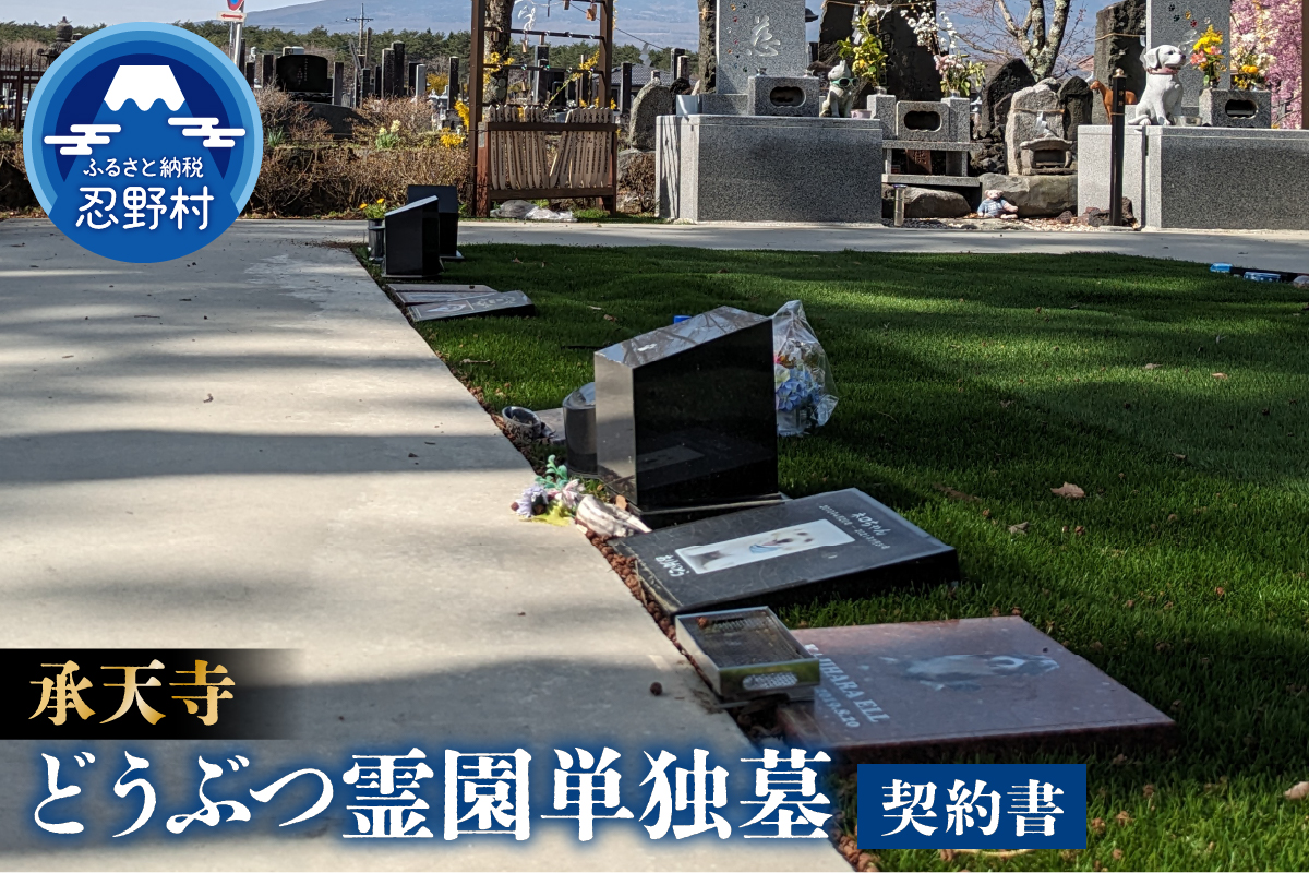 æ¿å€©å¯ºãå¿éå¯å£«ã©ãã¶ã€éååç¬å¢