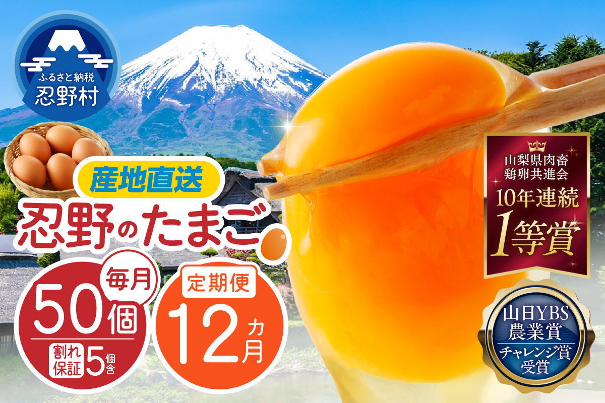 【12ヶ月定期便】富士山の麓で育った産地直送 ”忍野の卵”※卵45個+割れ保証5個　計600個