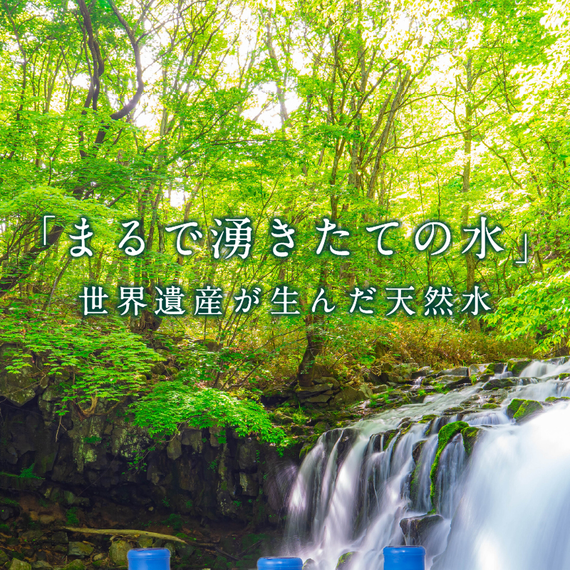 縲12繝カ譛亥ョ壽悄萓ソ縲大ッ悟」ォ蠢埼弱Mtシ薩uji縲Springs縲8Lテ3譛ャ縲12繝カ譛医さ繝シ繧ケシ医え繧ゥ繝シ繧ソ繝シ繧オ繝シ繝舌Ξ繝ウ繧ソ繝ォ辟。譁呻シ 窶サ豐也ク逵後サ髮「蟲カ荳榊庄