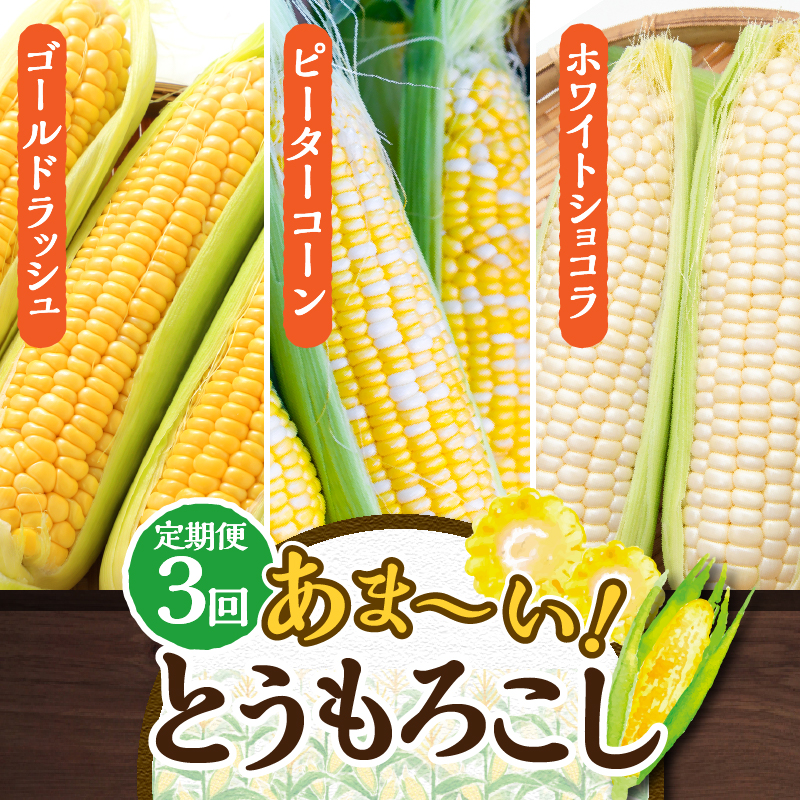 ＼＼★セレクト定期便(月3回お届け)★ 2026年先行予約／／ 富士北麓忍野村の気候、水、自然で作られた朝採りトウモロコシ（セレクト便）《約5kg 10〜12本》