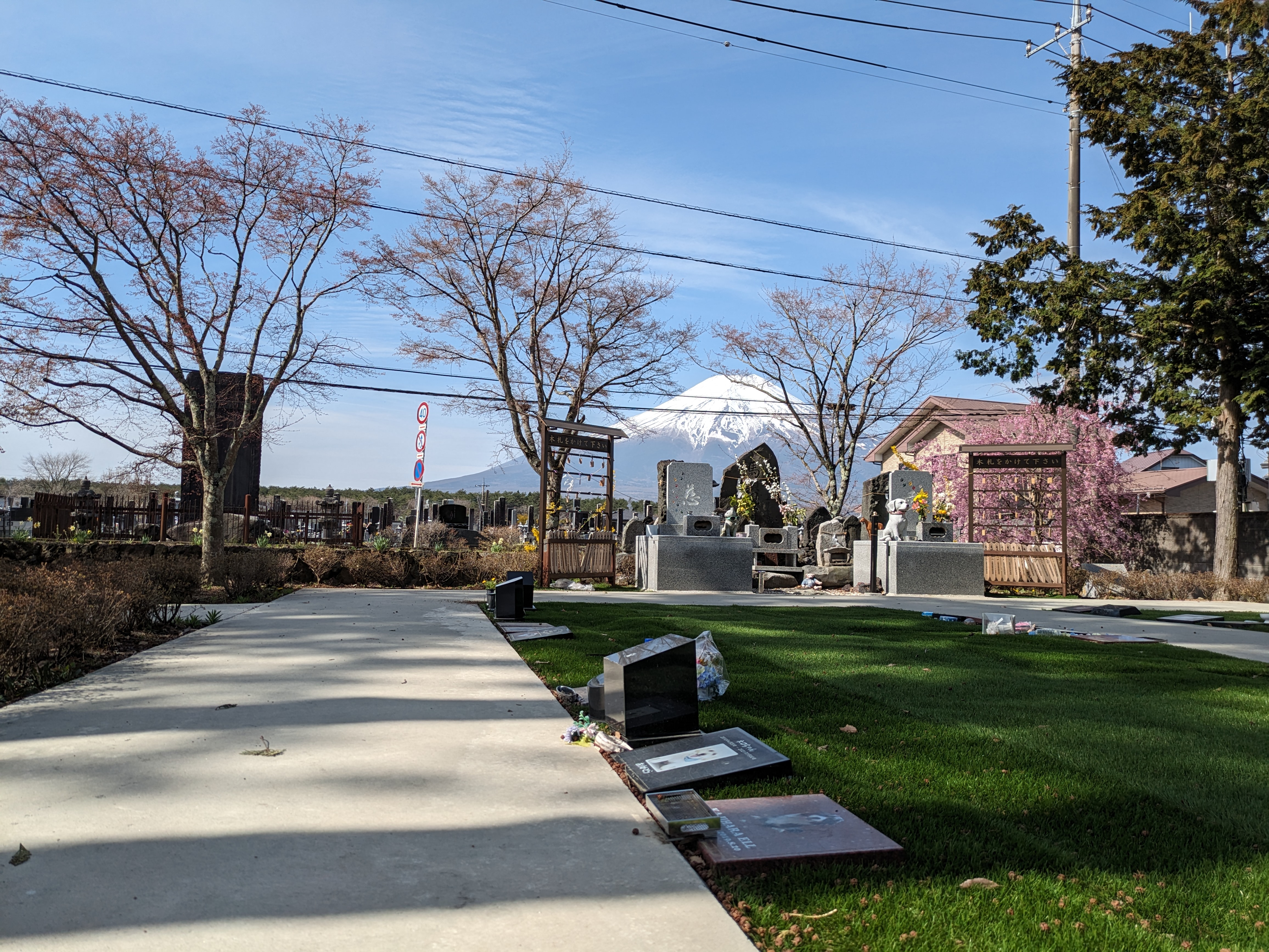 æ¿å€©å¯ºãå¿éå¯å£«ã©ãã¶ã€éååç¬å¢