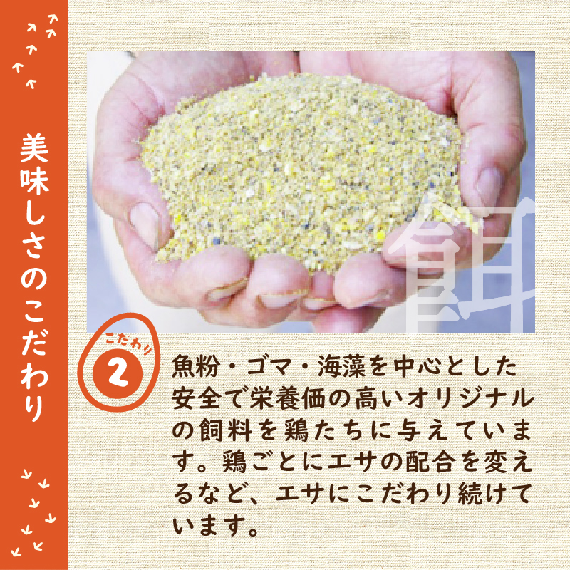 養鶏場で楽しむ鶏さんふれあい体験（平飼い放牧卵20個付き）