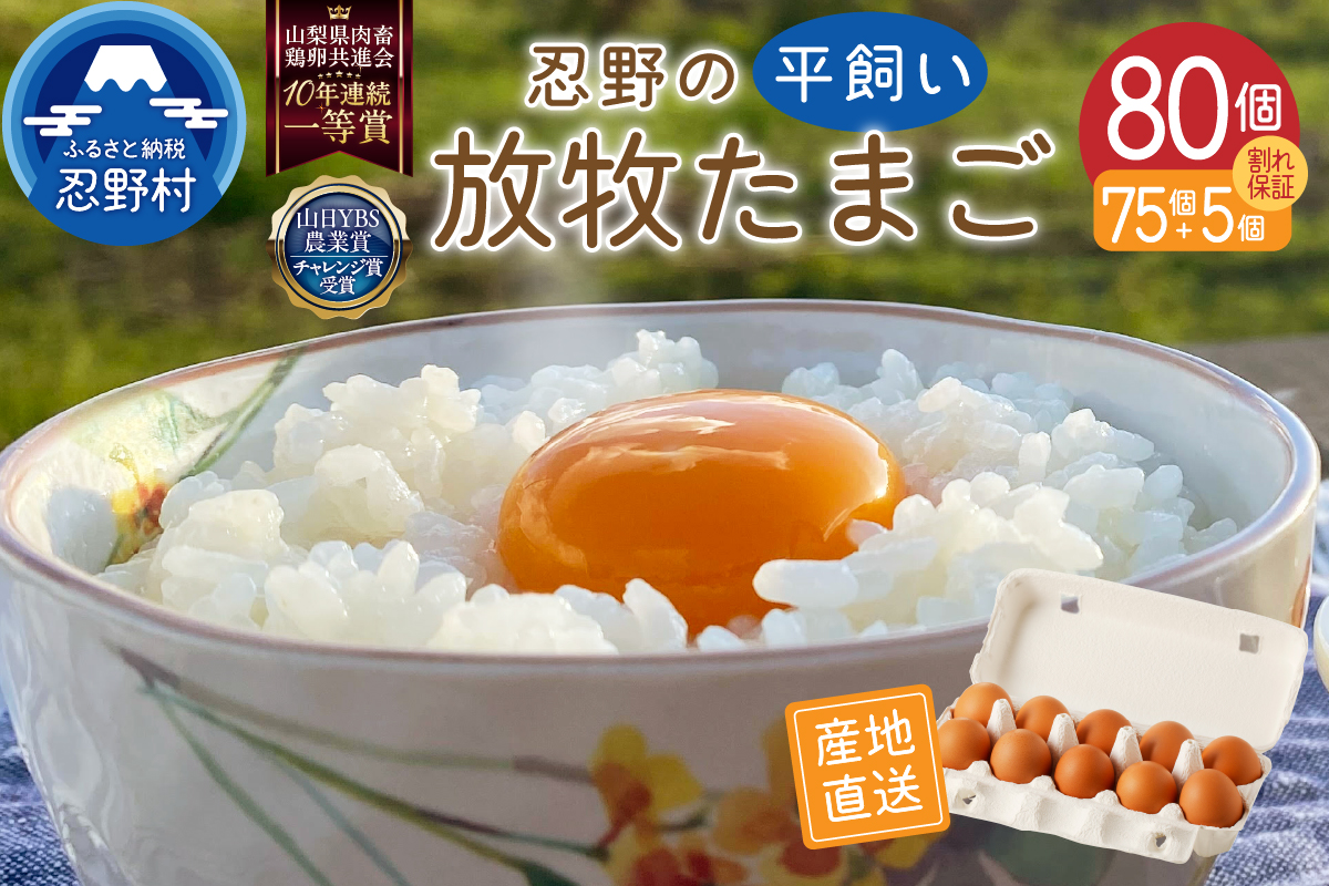 忍野の平飼い放牧卵80個（75個＋割れ保証5個）