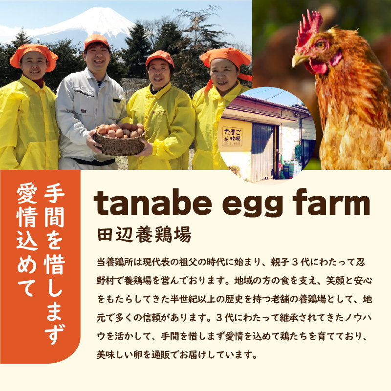 【6ヶ月定期便】”忍野の卵”旨味のピンク玉　※卵75個+割れ保証5個　計480個