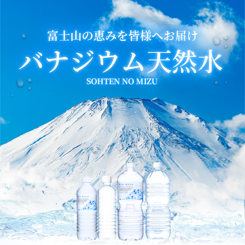 《年6回・隔月配送 定期便》富士山蒼天の水 2L×6本（1ケース）ラベルレス