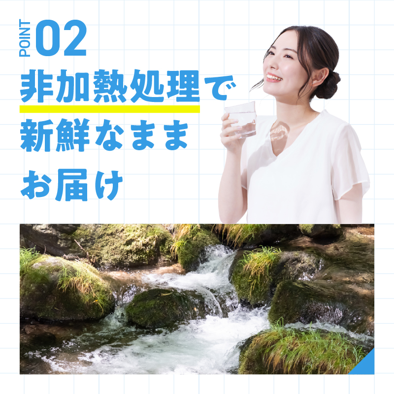 【12ヶ月定期便】富士忍野　Mt．Fuji　Springs　12L×2本　12ヶ月コース（ウォーターサーバーレンタル無料）【SHC-F9000SW（床置型）】※沖縄県、離島不可