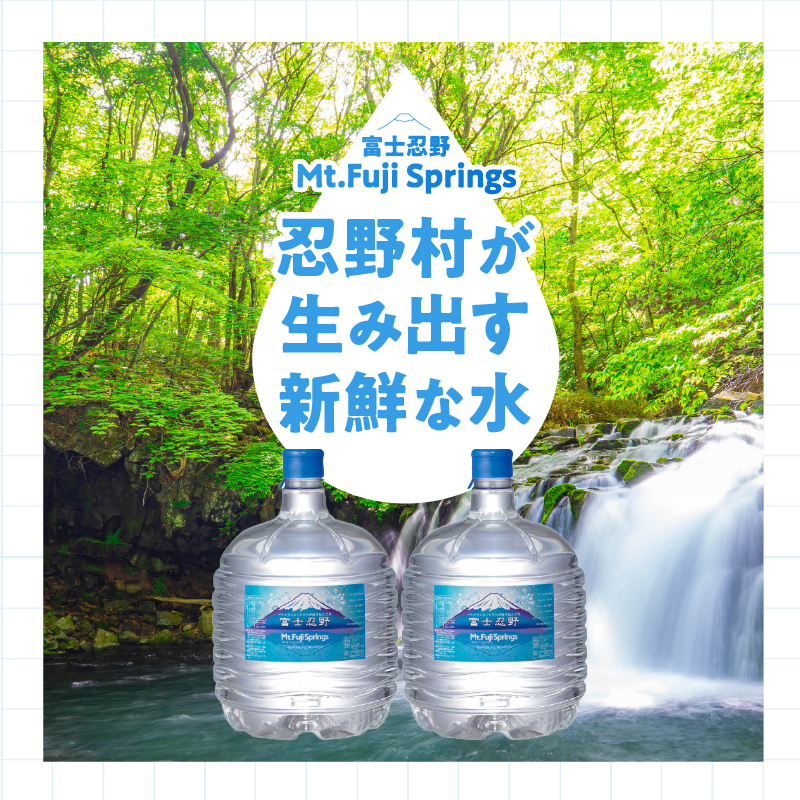 【12ヶ月定期便】富士忍野　Mt．Fuji　Springs　12L×2本　12ヶ月コース（ウォーターサーバーレンタル無料）【SHC-F9000SW（床置型）】※沖縄県、離島不可