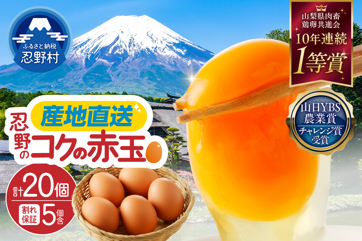 富士山の麓で育った産地直送 ”忍野の卵”※卵15個+割れ保証5個　計20個
