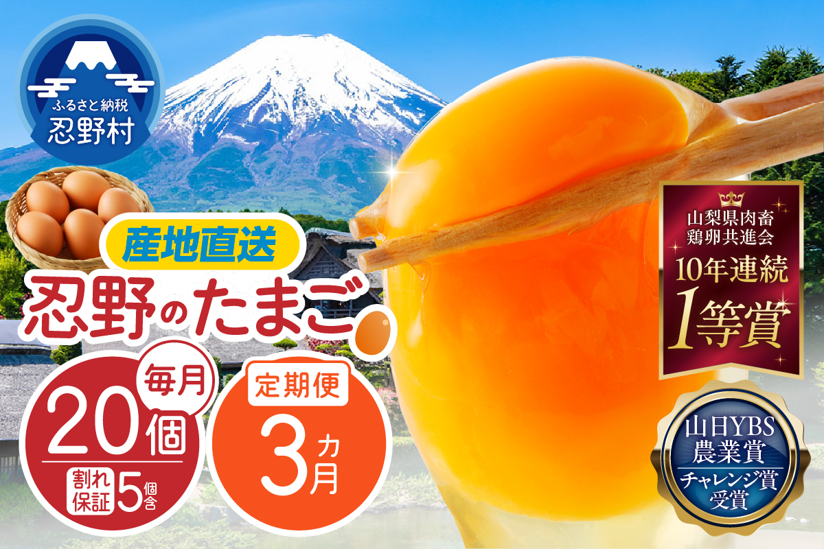 【3ヶ月定期便】富士山の麓で育った産地直送 ”忍野の卵”※卵15個+割れ保証5個　計60個