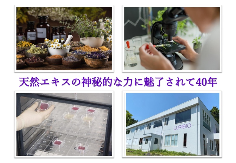 ルリビオ　咲吉リジューヴ