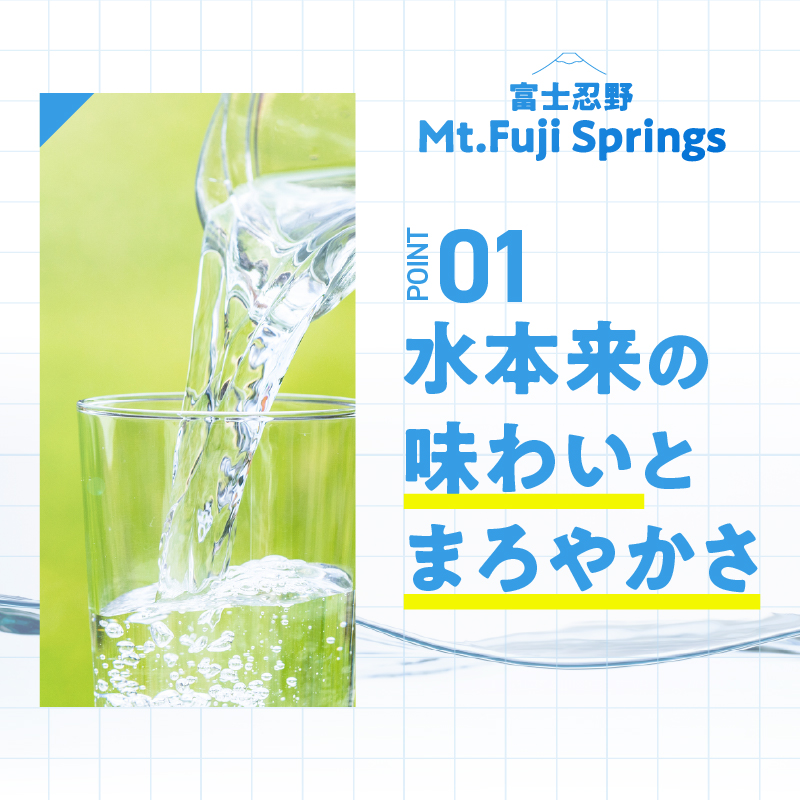 【12ヶ月定期便】富士忍野　Mt．Fuji　Springs　12L×2本　12ヶ月コース（ウォーターサーバーレンタル無料）【SHC-F9000SW（床置型）】※沖縄県、離島不可