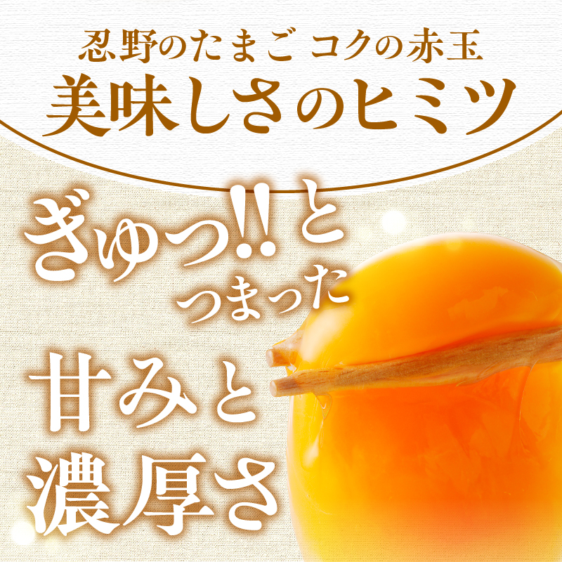 å¯å£«å±±ã®éºã§è²ã£ãç£å°çŽé âå¿éã®åµââ»åµ45å+å²ãä¿èšŒ5åãèš50å