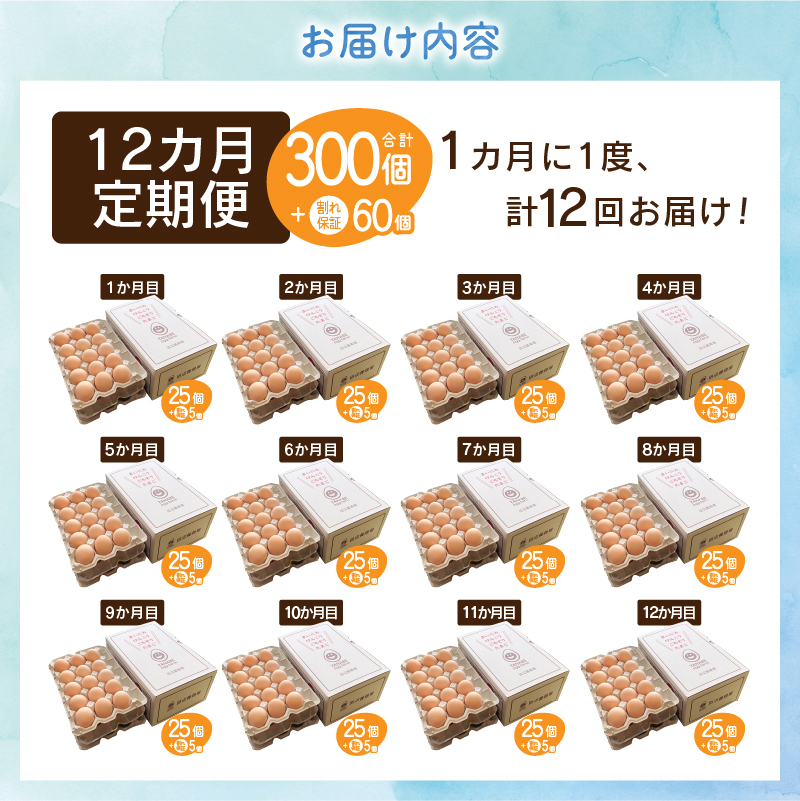 【12ヶ月定期便】”忍野の卵”旨味のピンク玉　※卵25個+割れ保証5個　計360個
