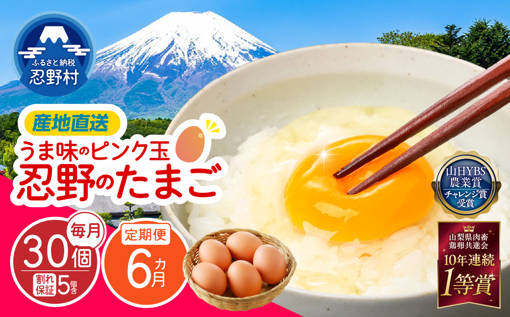 【6ヶ月定期便】”忍野の卵”旨味のピンク玉　※卵25個+割れ保証5個　計180個