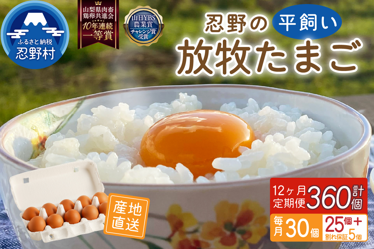 ã12ã¶æå®æäŸ¿ãå¿éã®å¹³é£ŒãæŸç§åµ30åïŒ25åïŒå²ãä¿èšŒ5åïŒ