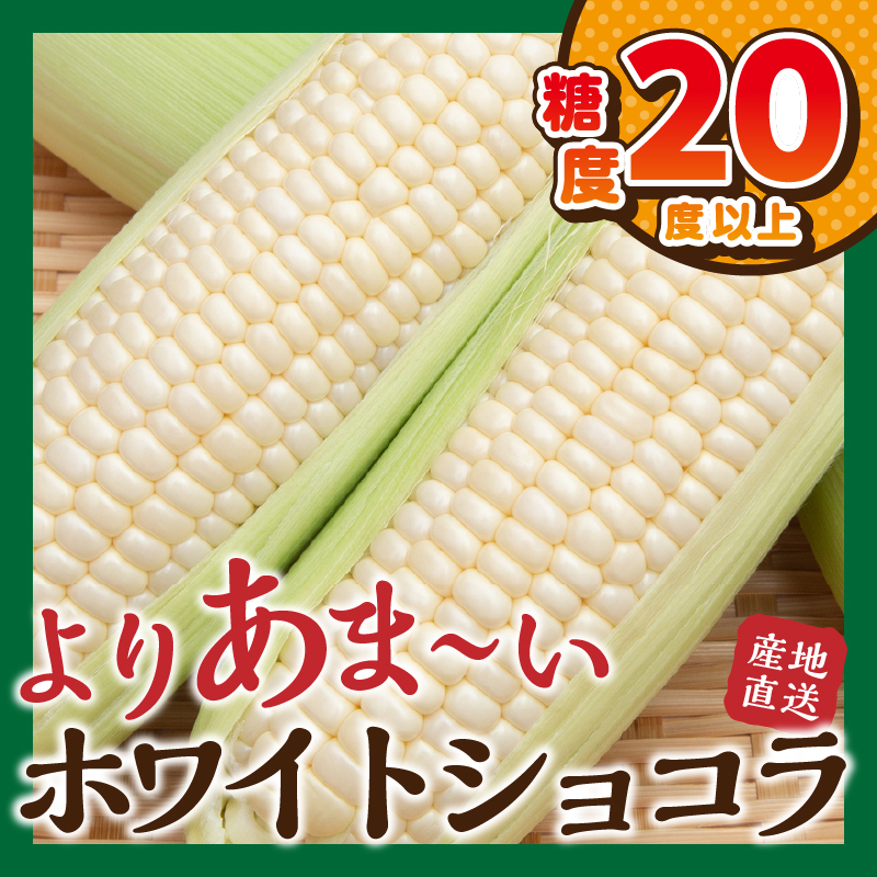 ＼＼★セレクト定期便(月3回お届け)★ 2026年先行予約／／ 富士北麓忍野村の気候、水、自然で作られた朝採りトウモロコシ（セレクト便）《約5kg 10〜12本》