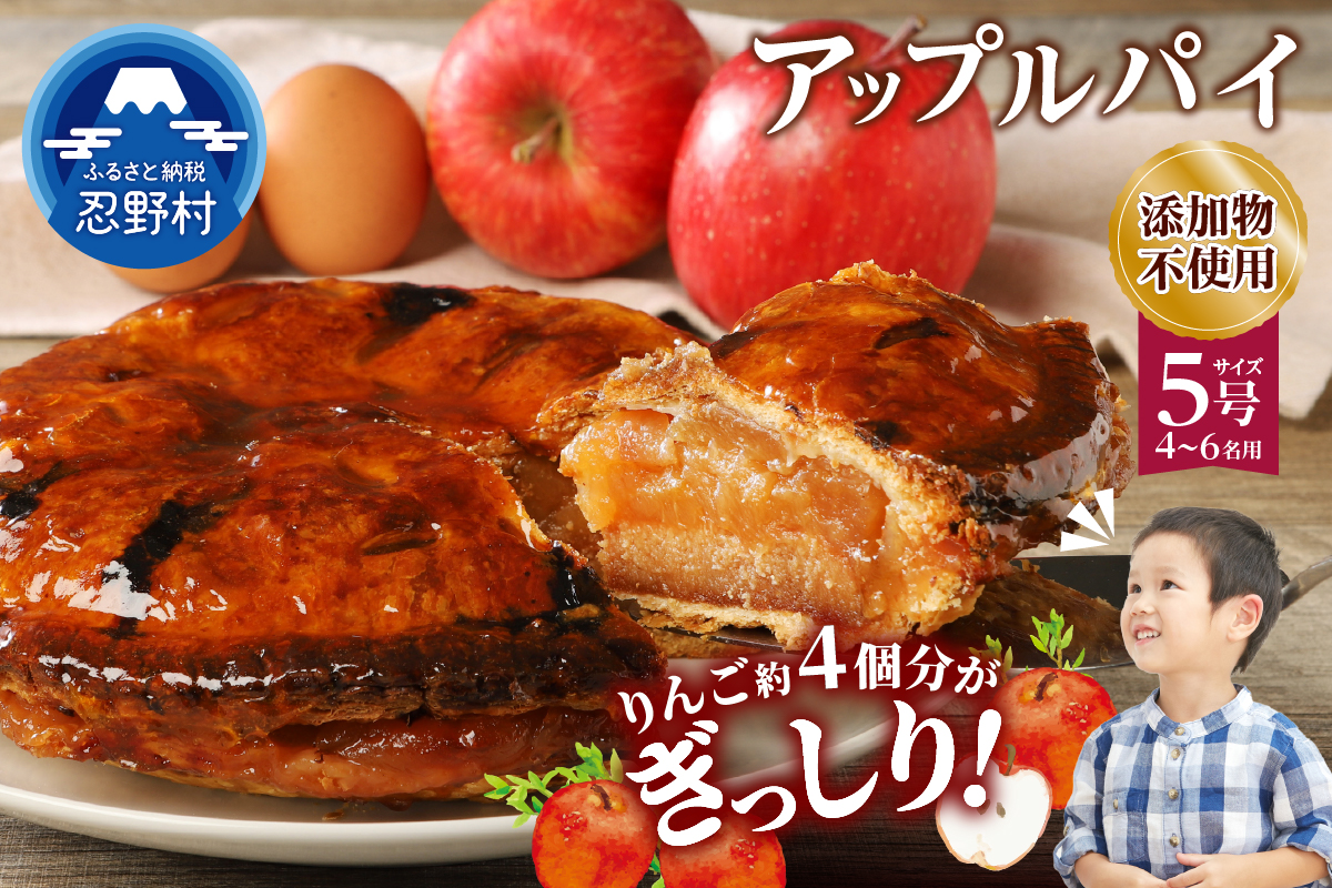 ＼12月7日寄附入金分まで年内発送／リンゴぎっしりアップルパイ