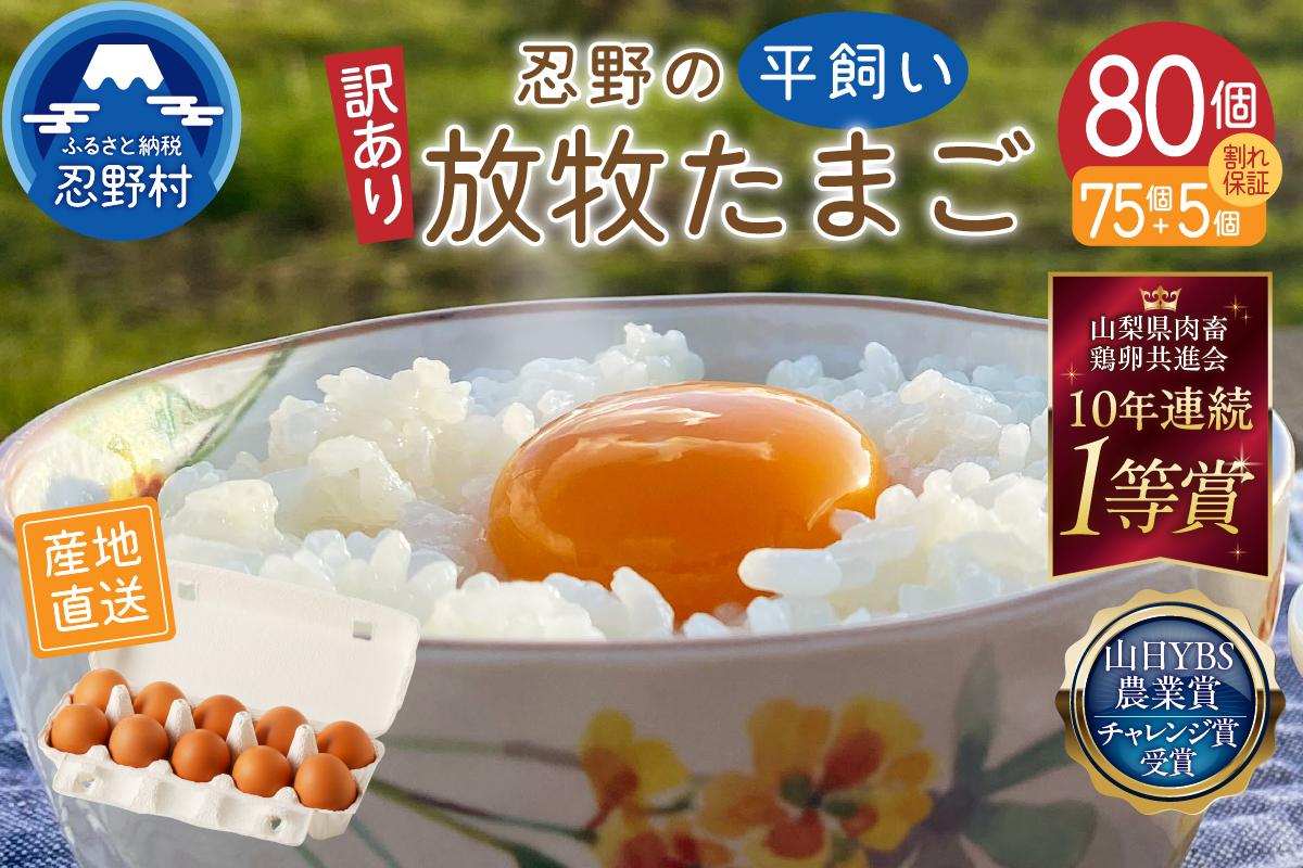 【訳あり】忍野の平飼い放牧卵80個（75個＋割れ保証5個）