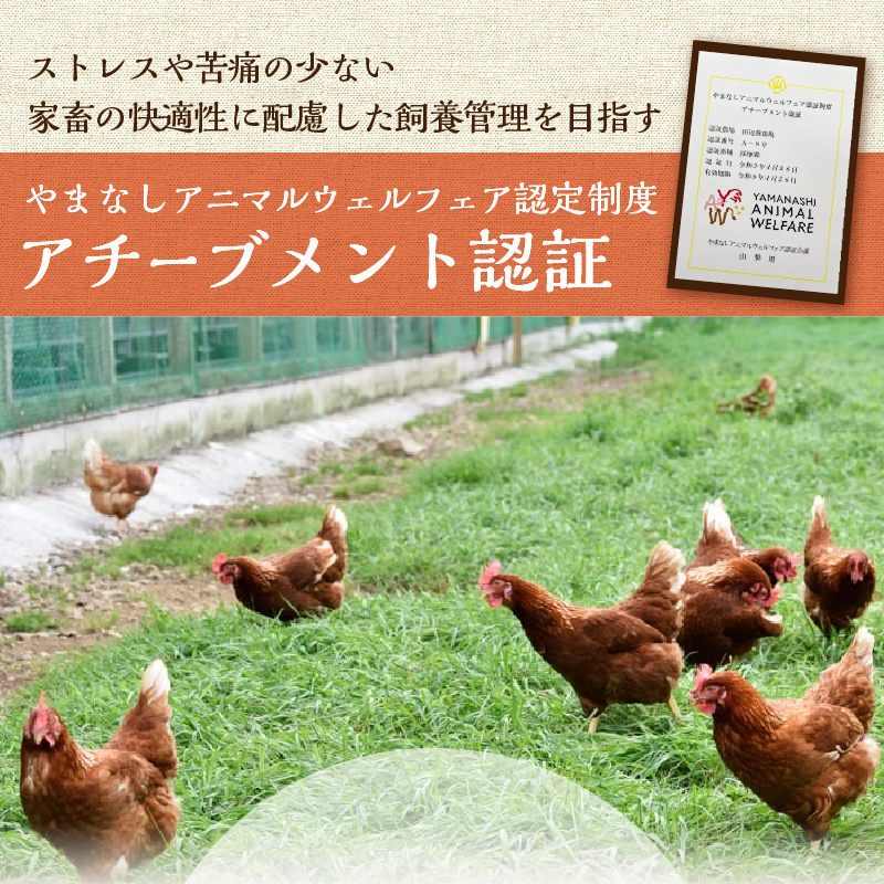 【訳あり】忍野の平飼い放牧卵80個（75個＋割れ保証5個）
