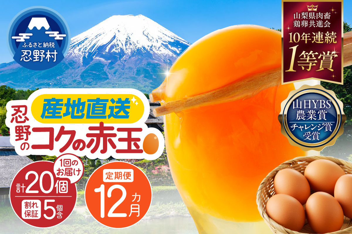 【12ヶ月定期便】富士山の麓で育った産地直送 ”忍野の卵”※卵15個+割れ保証5個　計240個