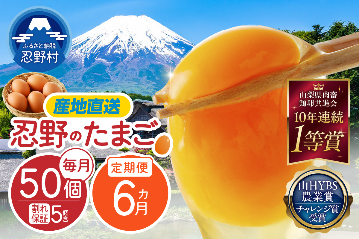 【6ヶ月定期便】富士山の麓で育った産地直送 ”忍野の卵”※卵45個+割れ保証5個　計300個