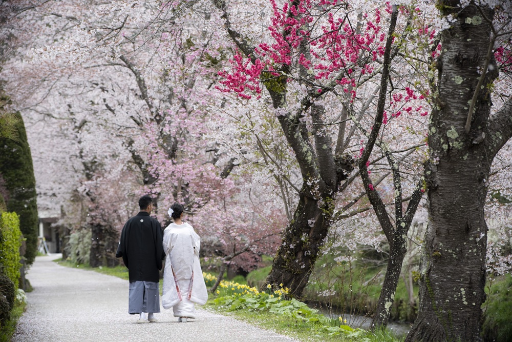 蜥瑚」繝ュ繧ア繝シ繧キ繝ァ繝ウ繝輔か繝