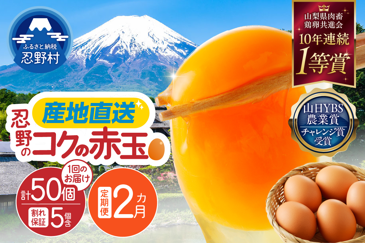 【2ヶ月定期便】富士山の麓で育った産地直送 ”忍野の卵”※卵45個+割れ保証5個　計100個