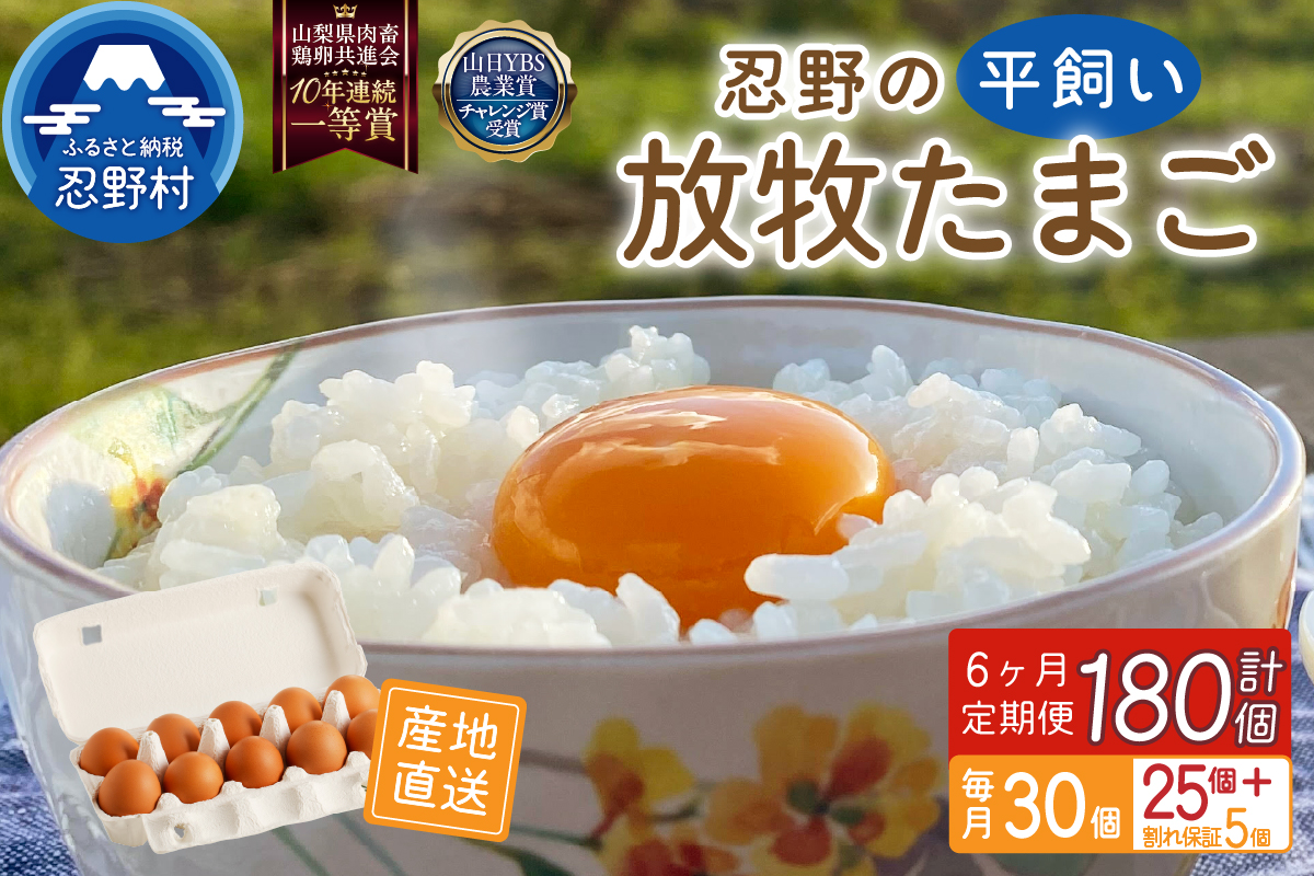 ã6ã¶æå®æäŸ¿ãå¿éã®å¹³é£ŒãæŸç§åµ30åïŒ25åïŒå²ãä¿èšŒ5åïŒ