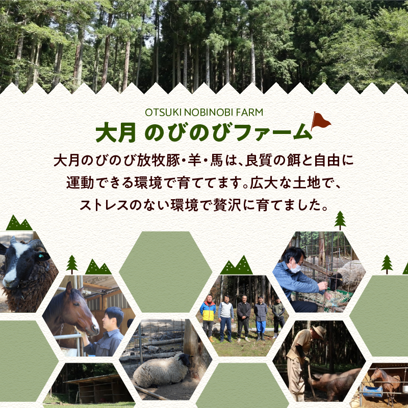 【希少豚】 大月のびのび放牧豚 【カツ・ステーキ用ロース】 750g以上(約150g×5)