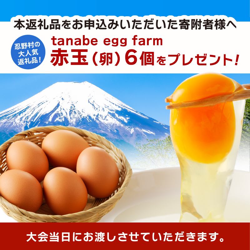 å¯å£«å¿éé«åãã¬ã€ã«ã¬ãŒã¹ïŒã·ã§ãŒãïŒåå åž