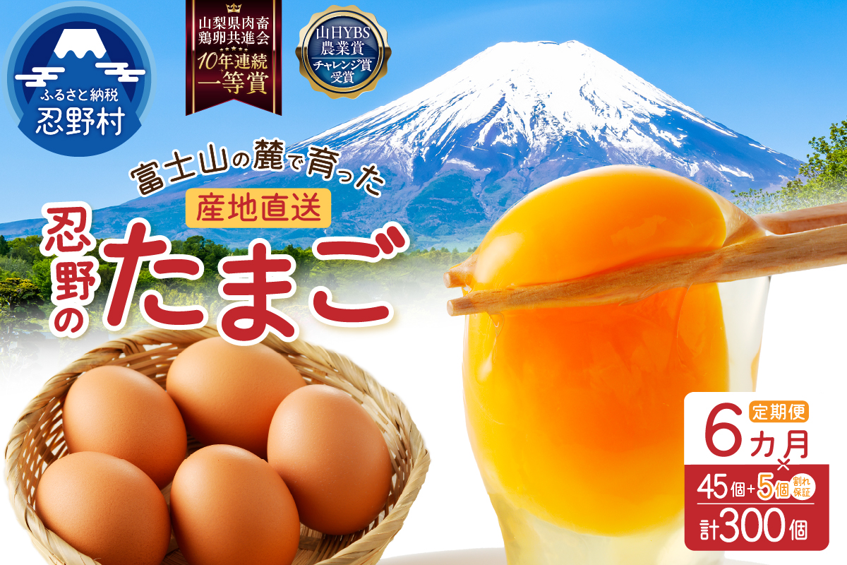 【6ヶ月定期便】富士山の麓で育った産地直送 ”忍野の卵”※卵45個+割れ保証5個　計300個