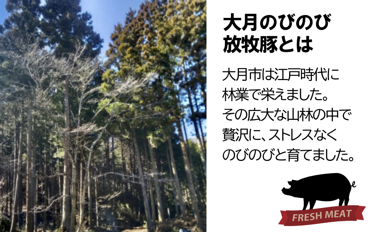 倧æã®ã³ã®ã³æŸç§è± ãããã¶ããã¶é£ã¹æ¯ã¹ã»ãã1200gã ããŒã¹ã»è©ããŒã¹ã»ãã©ã»ã¢ã¢å300g