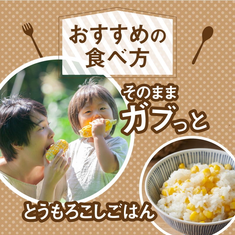 【2026年先行予約】富士北麓忍野村の気候、水、自然で作られた朝採りトウモロコシ【ゴールドラッシュ・ピーターコーン】詰め合わせセット 約2.5kg