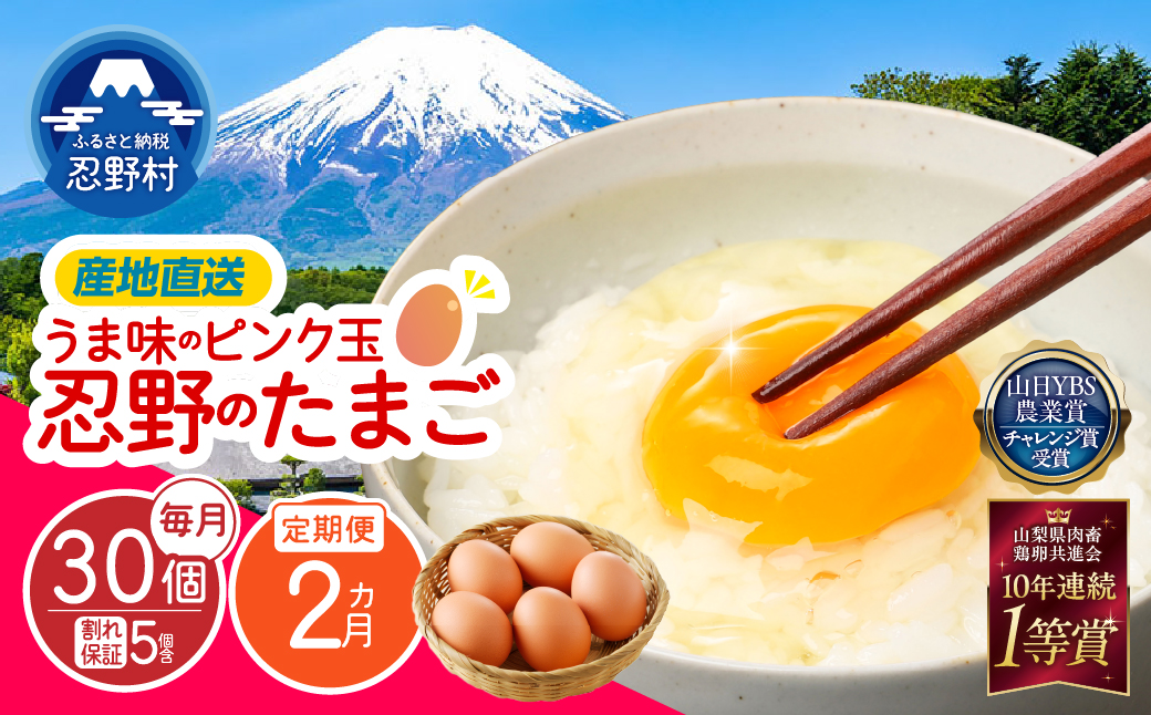 【2ヶ月定期便】”忍野の卵”旨味のピンク玉　※卵25個+割れ保証5個　計60個