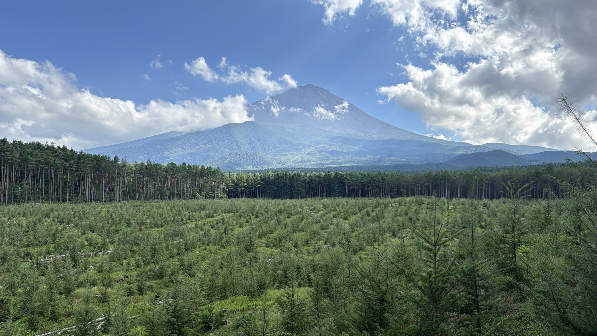 富士山の森づくり植樹代行(10本) NSAP001-c
