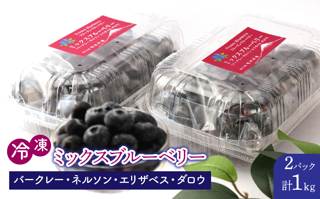 鳴沢村産冷凍ミックスブルーベリー(バークレー・ネルソン・エリザベス・ダロウ）500g×2パック NSAL005