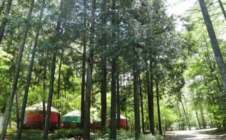 å¯å£«æºé¡ãã¬ããžãã£ã³ãå Žå©çšåž3000å NSN001