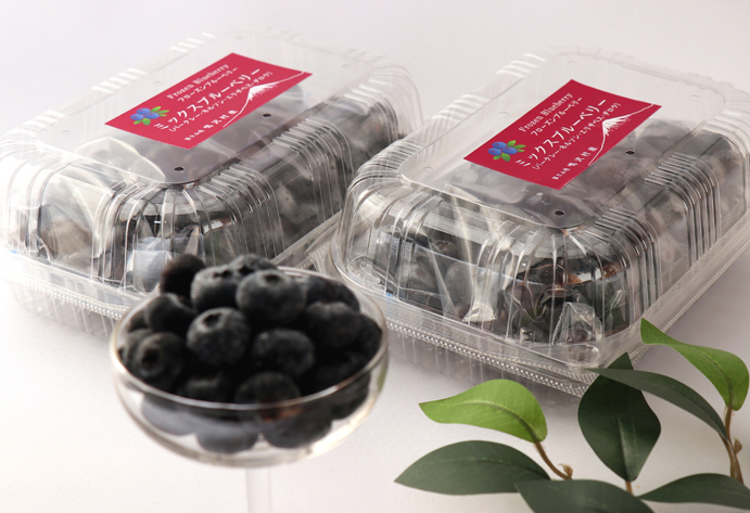 鳴沢村産冷凍ミックスブルーベリー(バークレー・ネルソン・エリザベス・ダロウ）500g×2パック NSAL005