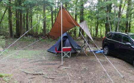 å¯å£«æºé¡ãã¬ããžãã£ã³ãå Žå©çšåž3000å NSN001