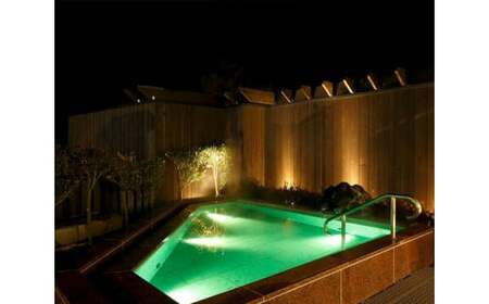 富士眺望の湯 ゆらり 入泉券 14枚 NSL011