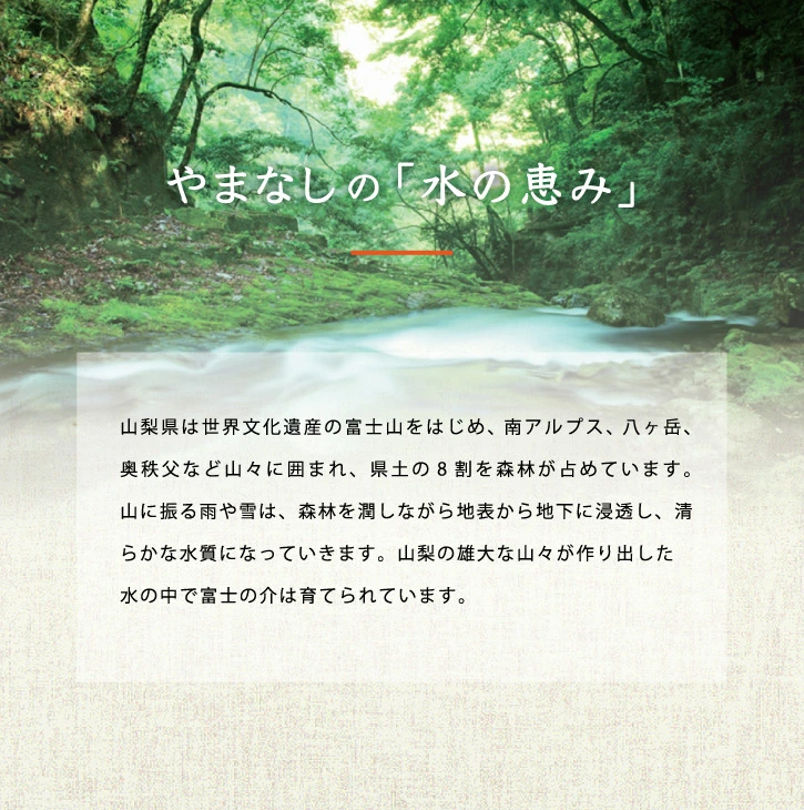 縲宣ォ倡エ夐ュ 蟶悟ー代大ッ悟」ォ縺ョ莉240gシ5縲6莠コ蜑搾シ NSAE001