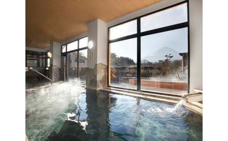 富士眺望の湯 ゆらり 入泉券 14枚 NSL011