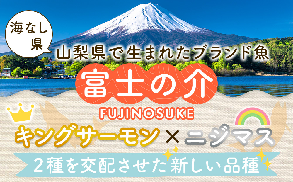 山梨 ご当地 サーモン 富士の介丸ごとセット