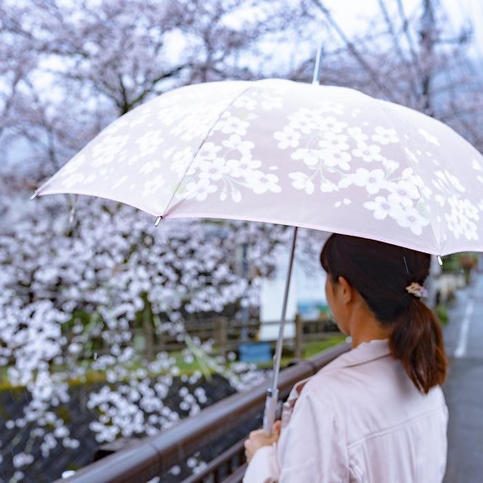 槙田商店【晴雨兼用】長傘 ”絵おり”  桜