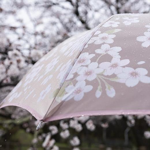 槙田商店【晴雨兼用】折りたたみ傘 ”絵おり” 桜