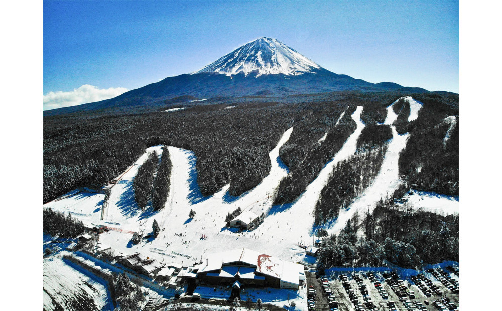 ふじてんスノーリゾート 1日リフト券引換券1枚 2025-2026シーズン