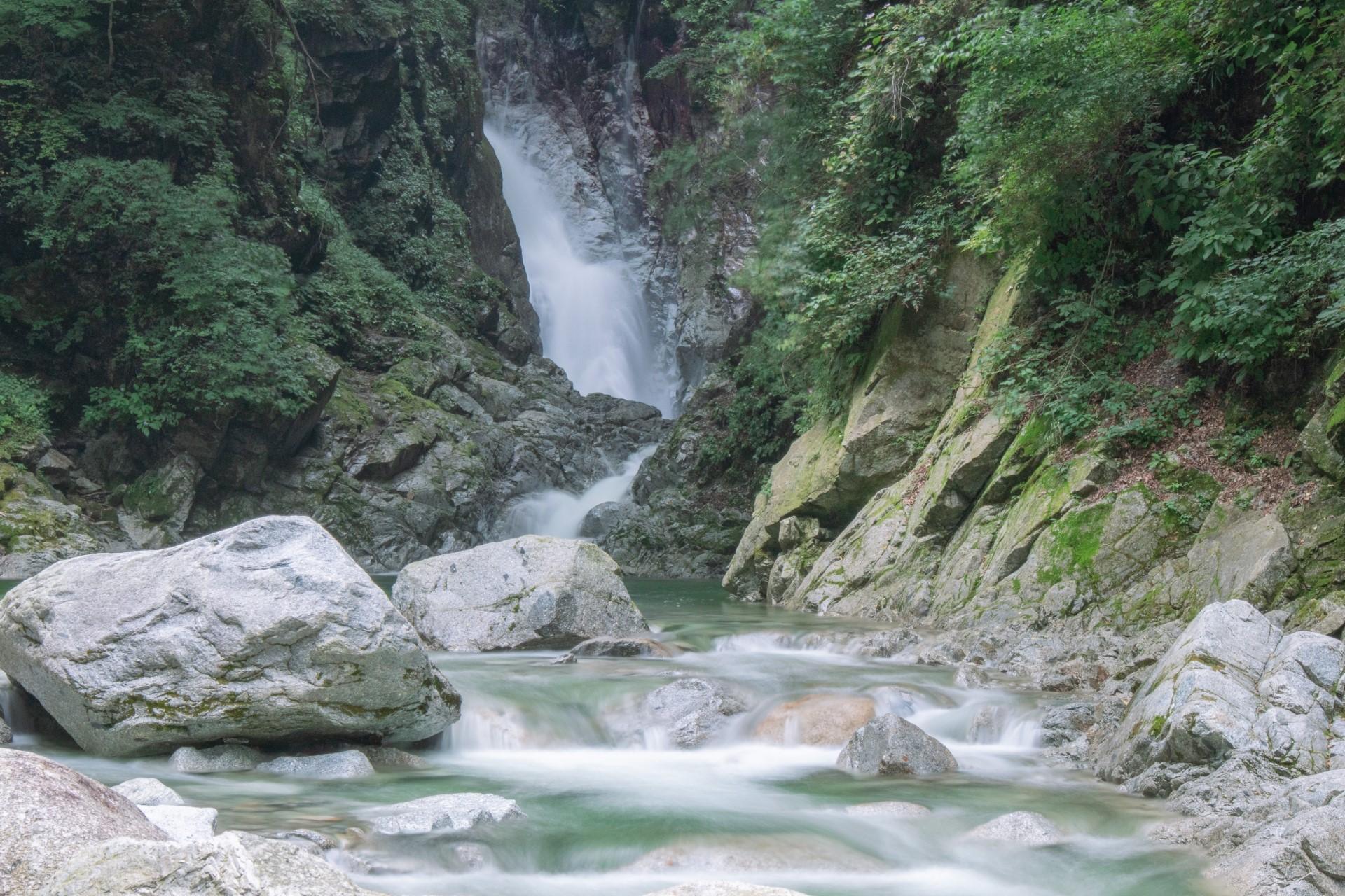 【令和6年産新米】山梨県北杜市産白州米コシヒカリ（無洗米）10kg