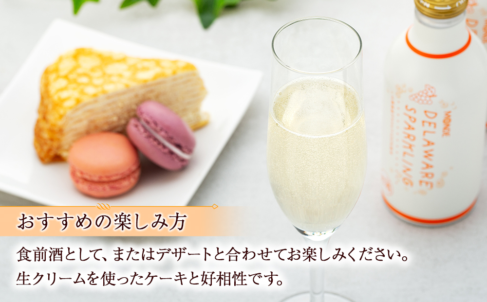 山梨県産 デラウェア スパークリングワイン 24本（山梨県産デラウェア種使用/白ワイン/やや甘口）