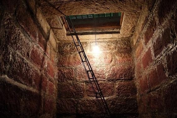 繝ッ繧、繝ウ螳壽悄萓ソ 繝上シ繝輔さ繝シ繧ケ 繝励Λ繧ケ