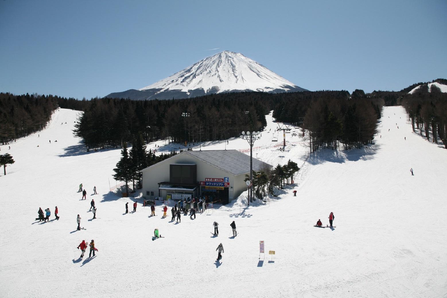 ふじてんスノーリゾート 1日リフト券引換券1枚 2024-2025シーズン